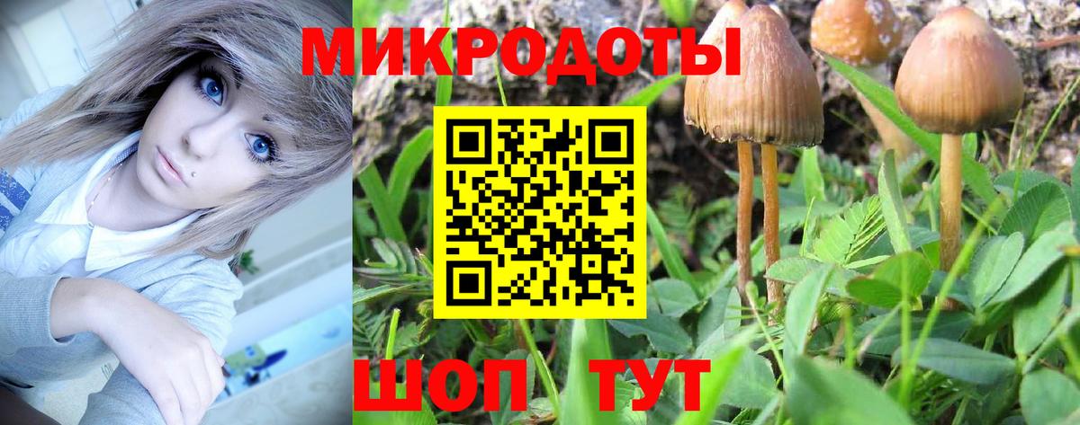 Галлюциногенные грибы ЛСД  Вход с VPN  Нерюнгри  сколько стоит  Псилоцибиновые грибы Magic Shrooms 